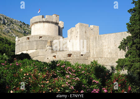 Burg, Adria, antike, Architektur, hell, Kroatien, Balkan, Europa, Dalmatien, Dubrovnik, Europa, Festung, Festung, Erbe Stockfoto