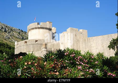 Burg, Adria, antike, Architektur, hell, Kroatien, Balkan, Europa, Dalmatien, Dubrovnik, Europa, Festung, Festung, Erbe Stockfoto