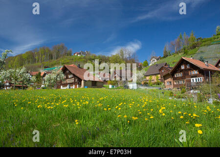 Lutzenberg, Wienacht-Tobel, Dorf, Kanton, Appenzell, Ausserrhoden, Frühling, Schweiz, Europa, Stockfoto