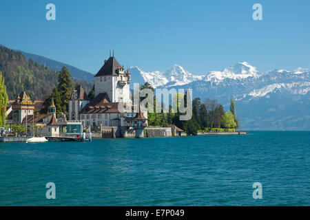 Burg, Oberhofen am Thunersee, Frühling, Kanton Bern, Berner Alpen, Berner Oberland, Jungfrau, Mönch, Mönch, Eiger, Schweiz, Eu Stockfoto