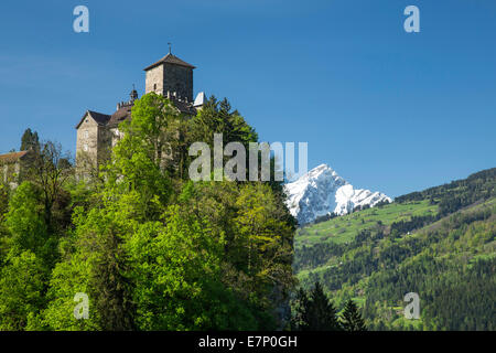 Domleschg, Ortenstein, GR, Piz Berverin, Berg, Berge, Schloss, Kanton, GR, Graubünden, Graubünden, Frühling, Schweiz, Euro Stockfoto