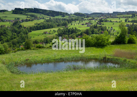 Teich, Wienacht, Tobel, Lutzenberg, Kanton Appenzell, Ausserrhoden, Natur, See, Seen, Blumenwiese, Schweiz, Europa, Stockfoto