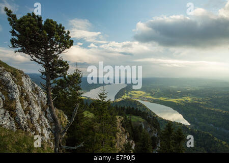 Lac de Joux, aussehen, Dent de Vaulion, Lac de Joux VD, Kanton VD, Waadt, westliche Schweiz, Romandie, Holz, Wald, See, Seen, w Stockfoto