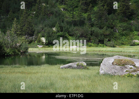 Schweiz, Europa, Berner Oberland, Grimsel Gebiet, Grimsel, See, Bergsee, Lager See, Stockseewli, klar, frisch, Stockfoto