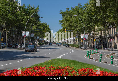 Barcelona, Stadt, Avenue, Katalonien, Stadt, Innenstadt, Blumen, Gran Vía, Road, Spanien, Europa, Frühling Stockfoto