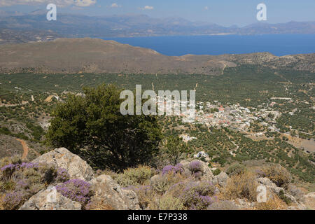 Europa, Griechenland, Griechisch, Kreta, Mittelmeer, Insel, Kavousi, Landschaft Stockfoto