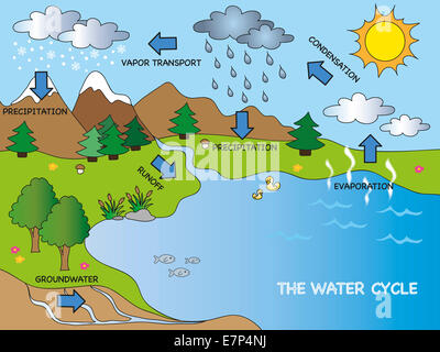 Illustration der lustige Wasserkreislauf Stockfoto