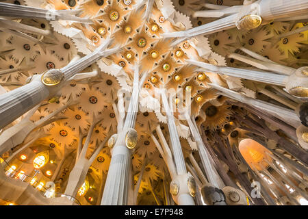 Spanien, Barcelona, Sagrada Familia Kirchenraum Stockfoto