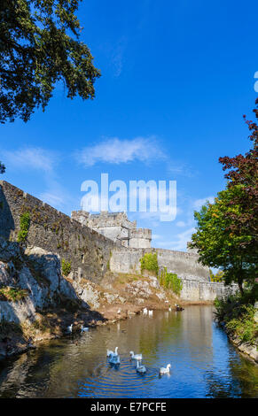 Cahir Castle und der Fluss Suir, Cahir, County Tipperary, Irland Stockfoto