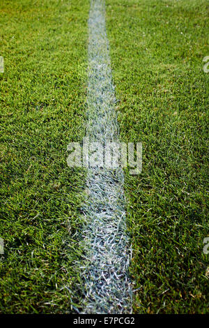 Weiße Linie gemalt auf dem Rasen. Stockfoto