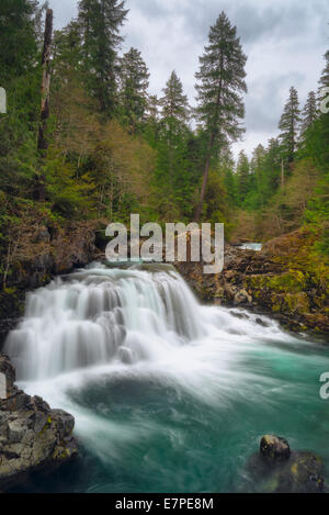 USA, Oregon, Marion County, Wasserfall auf Santiam Fluß Stockfoto