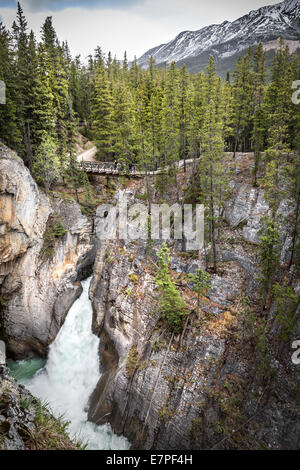 Sunwapta River Falls, Icefields Parkway, Jasper Nationalpark, Alberta, Kanada, Nordamerika. Stockfoto
