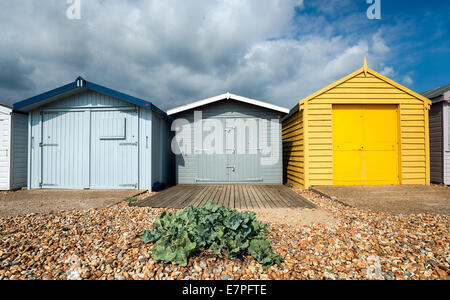Eine Reihe von Strandhütten auf einem Kiesstrand am St Leonards on Sea in Hastings, East Sussex Stockfoto