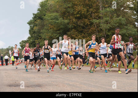 Inbetriebnahme der schnell Tempo Kreuz Land Langstrecken laufen Straße Relais schnellen Sprint Team Positionierung im Konkurrenzkampf zu sichern Stockfoto