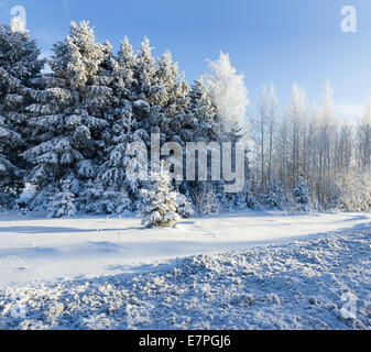 russischer Winter Forststraße im Schnee Stockfoto