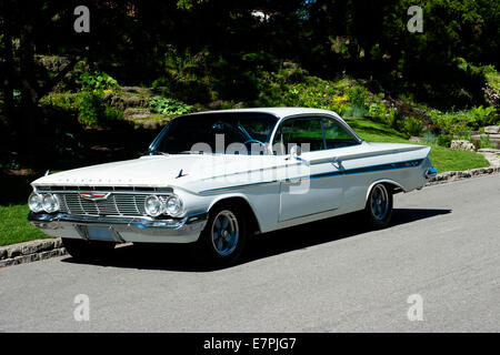 1961 Chevrolet Impala Stockfoto