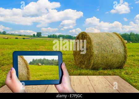 Tablet auf dem Heu, schwarz Stockfoto