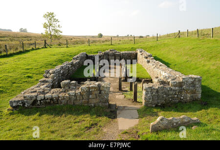 Übersicht über das Mithräum in der Nähe der Hadrianswall. Der Tempel war dem Gott Mithras gewidmet und war beliebt bei den römischen Soldaten. Stockfoto