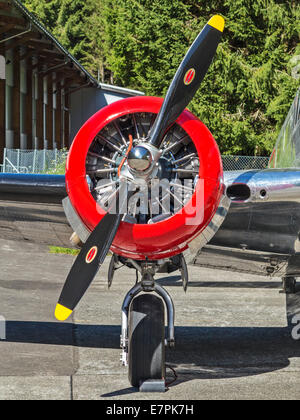 Detail einer Pratt & Whitney Engine auf eine Beechcraft Twin (Beechcraft Model 18) Stockfoto