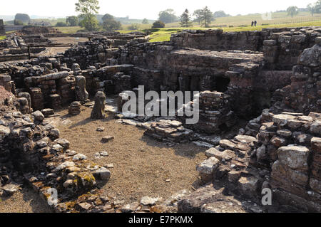 Ausgegrabenen Reste an Vindolanda, ein Roman Auxiliary Fort und zugehörigen Stadt in der Nähe der Hadrianswall in Nordengland. Stockfoto