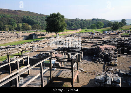 Ausgegrabenen Reste an Vindolanda, ein Roman Auxiliary Fort und zugehörigen Stadt in der Nähe der Hadrianswall in Nordengland. Stockfoto