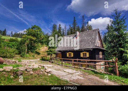 Kleines Holzhaus in den Bergen im Sommer Stockfoto