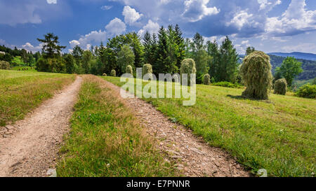 Landstraße zwischen den Garben von Heu Stockfoto