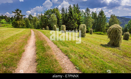 Garbe von Heu in der Nähe der Landstraße Stockfoto