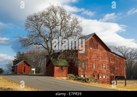 Alte Scheunen und Baum auf Landstraße in Upstate New York. Stockfoto