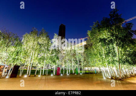 Silber-Birken in der Nacht außerhalb der Tate Modern Stockfoto