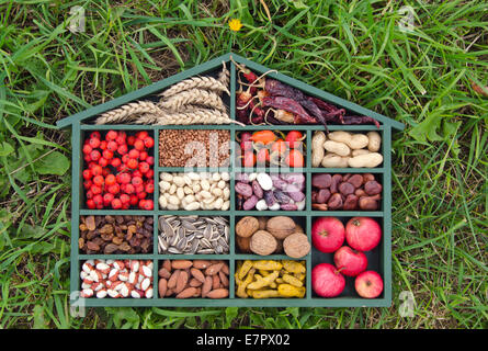 Holzkiste mit verschiedenen Lebensmitteln und Gesundheit Zutat auf Gartengras Stockfoto