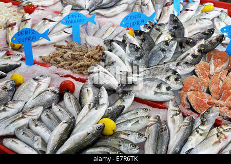 Ein Array von frischem Fisch zum Verkauf Stockfoto