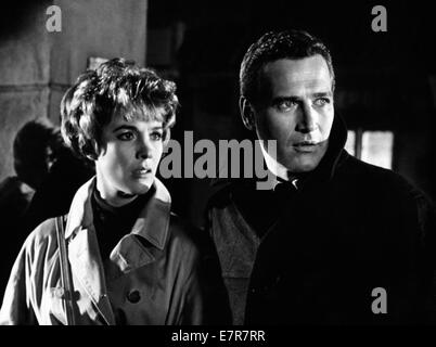 Zerrissene Vorhang Baujahr: 1966 USA Regie: Alfred Hitchcock Paul Newman, Julie Andrews Stockfoto