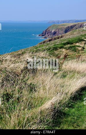 Blick von einer hohen Klippe auf Caldey Island, Pembrokeshire, Wales.Mainland Wales in der Ferne Stockfoto