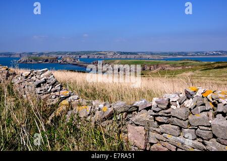 Trockenmauern und Felder auf Caldey Island, Wales Stockfoto