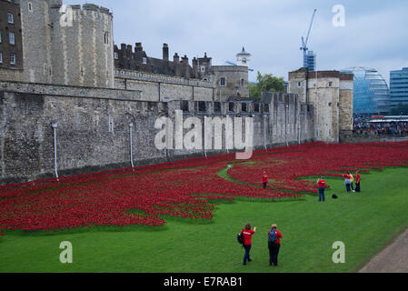 Keramik Mohn zum Gedenken an britischen und Commonwealth-Soldaten, die im 1. Weltkrieg gestorben Stockfoto