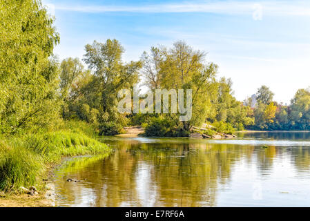 Verschiedene Bäume in der Nähe des Flusses während bald Herbsttag Stockfoto