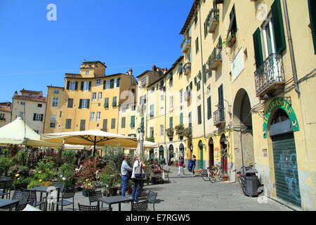 Ansicht der Piazza dell'Anfiteatro in Lucca, Italien Stockfoto