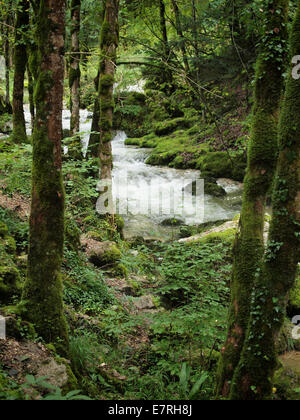 Kaskaden Herisson de Naturpark Juraregion, Frankreich Stockfoto