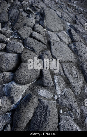 Vulkangestein Nahaufnahme, Ross Meer, Kap Royds, Antarktis. Stockfoto