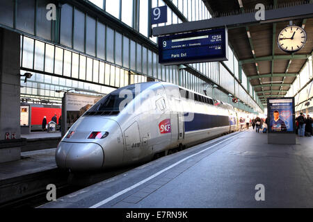 TGV im Stuttgarter Haupt Bahnhof, Deutschland, 19. Juli 2013. Stockfoto