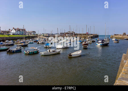 Aberaeron Harbour umgeben von bunten Regency Stil beherbergt und gefüllt mit Segelbooten aller Größen im Spätsommer-Sonne. Stockfoto