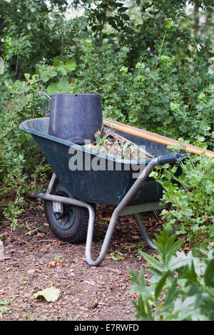 Jäten die Grenzen. Stockfoto