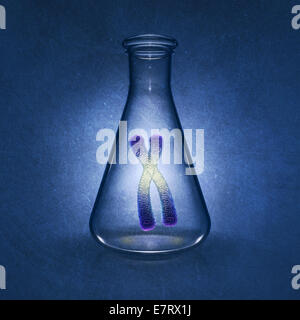 Menschlichen Chromosoms in Labor Kolben auf blauem Hintergrund, detaillierte Darstellung Stockfoto