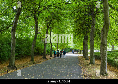 St Stephen öffentliche Grünanlage in der Stadtzentrum, Stadt Dublin, Republik Irland Stockfoto