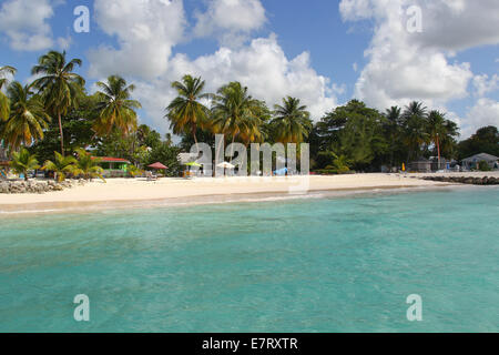 Karibik-Strand, Palmen, blauer Himmel, Stockfoto