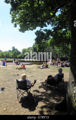 New Forest und The Highland Wasserstrom in der Nähe von Brockenhurst Hampshire Stockfoto