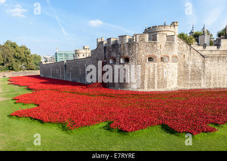 Keramische rote Mohnblumen erstellen Sie ein "Feld des Blutes" zum Gedenken an den hundertsten Jahrestag des ersten Weltkrieg an der Tower of London. Stockfoto