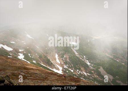 Polnische Berg Landschaft und Pinus Mugo wachsen in Babia Góra Hügel Stockfoto