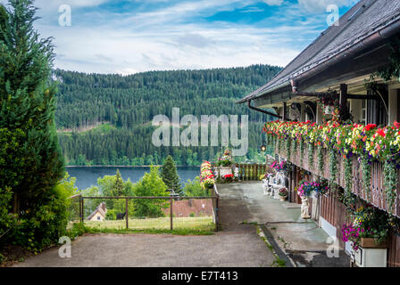 See-Titisee im Schwarzwald, Deutschland-Wald Stockfoto